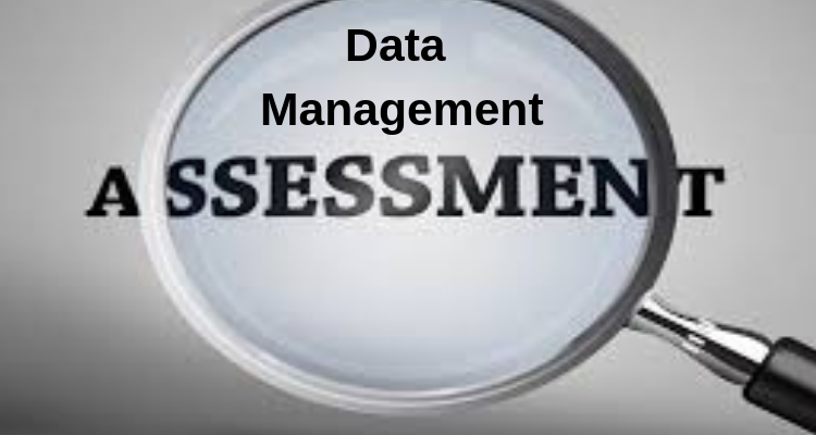 Significance of Data Management Assessment Strategy for Success