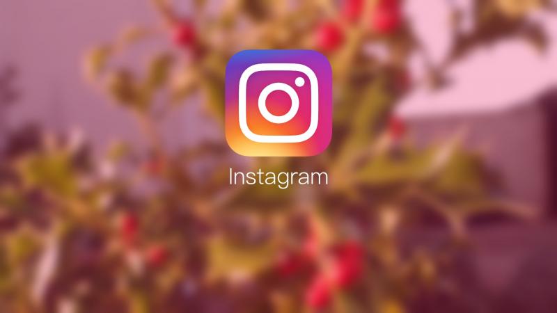 How Should You Use Instagram in Order to Reap Maximum Benefits?