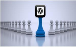 5 Reasons for Choosing WordPress CMS over Others