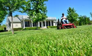 Lawn Care: 4 Tips to Prepare Your Lawn for Spring